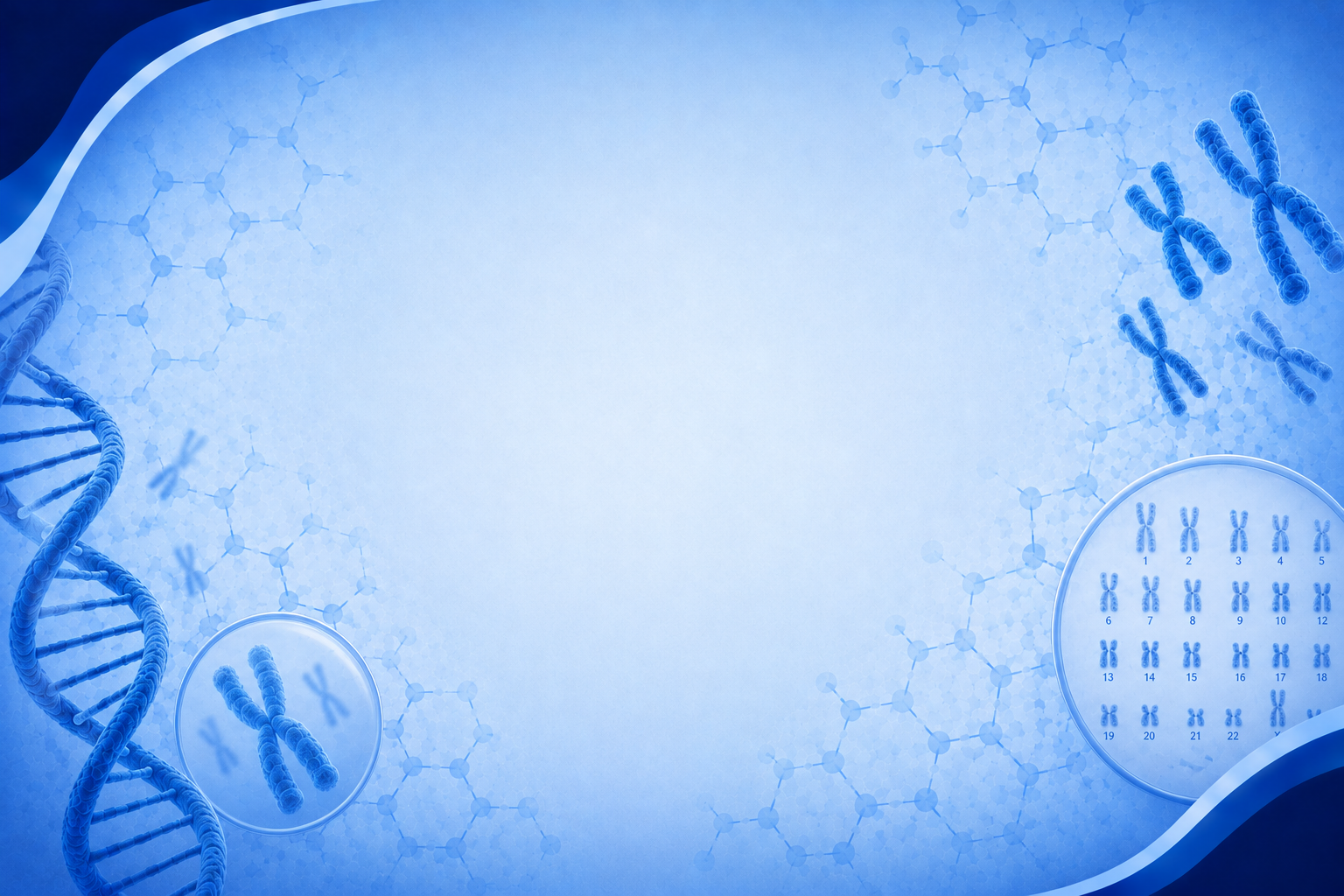 About Us Banner